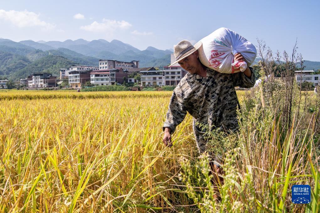 必胜平台登录